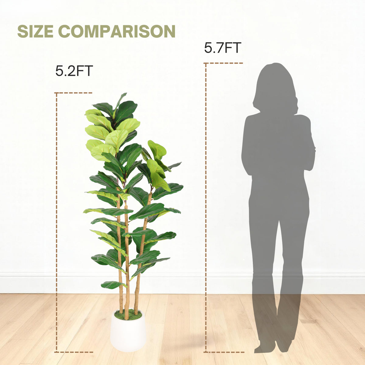 Size comparison of the 5.2 ft tree