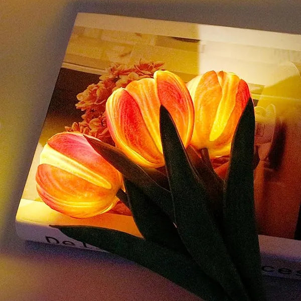Close-up of warm orange glowing tulip petals