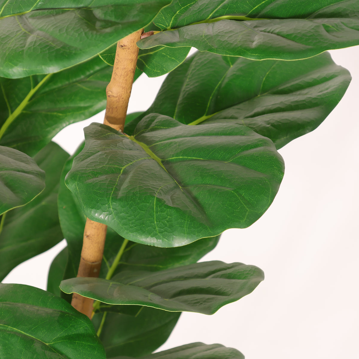 Lifelike fiddle leaf close-up