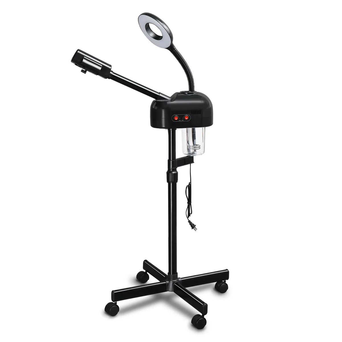 Steam arm and magnifying lamp on an adjustable pole