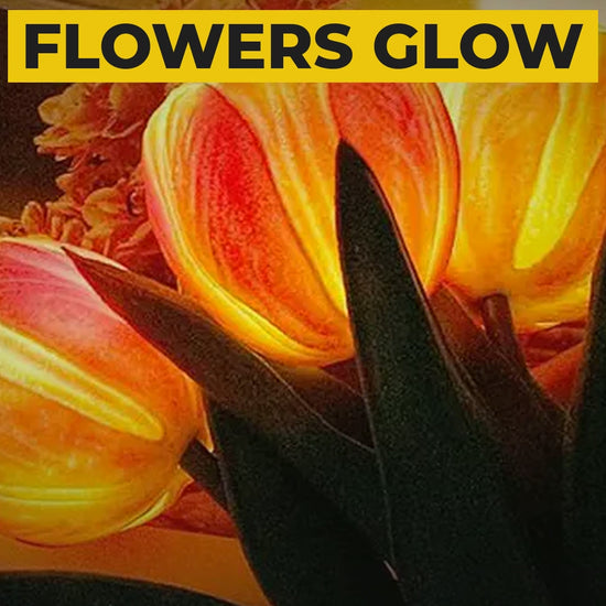Tulip LED Table Lamp video