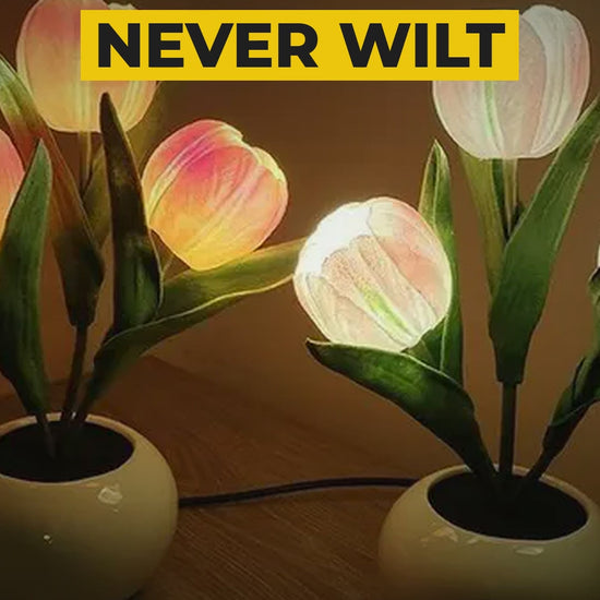 tulip led table lamp video