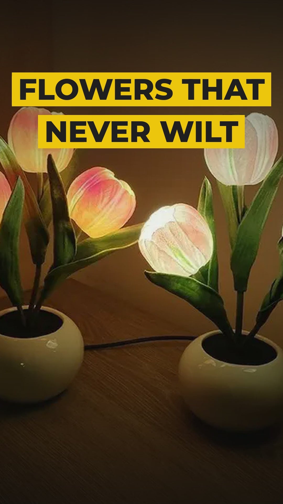 tulip led table lamp video