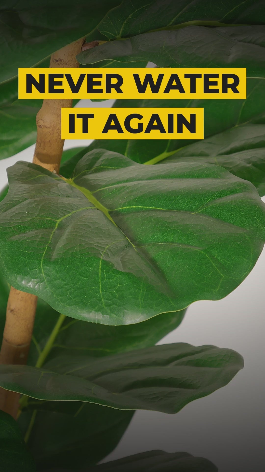 Faux fiddle leaf fig tree – product video