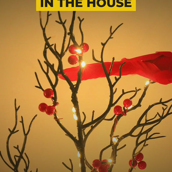 Lighted Cardinal Berry Tree video