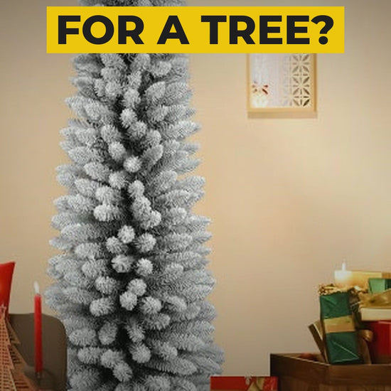 Snow flocked 6 ft pencil tree video