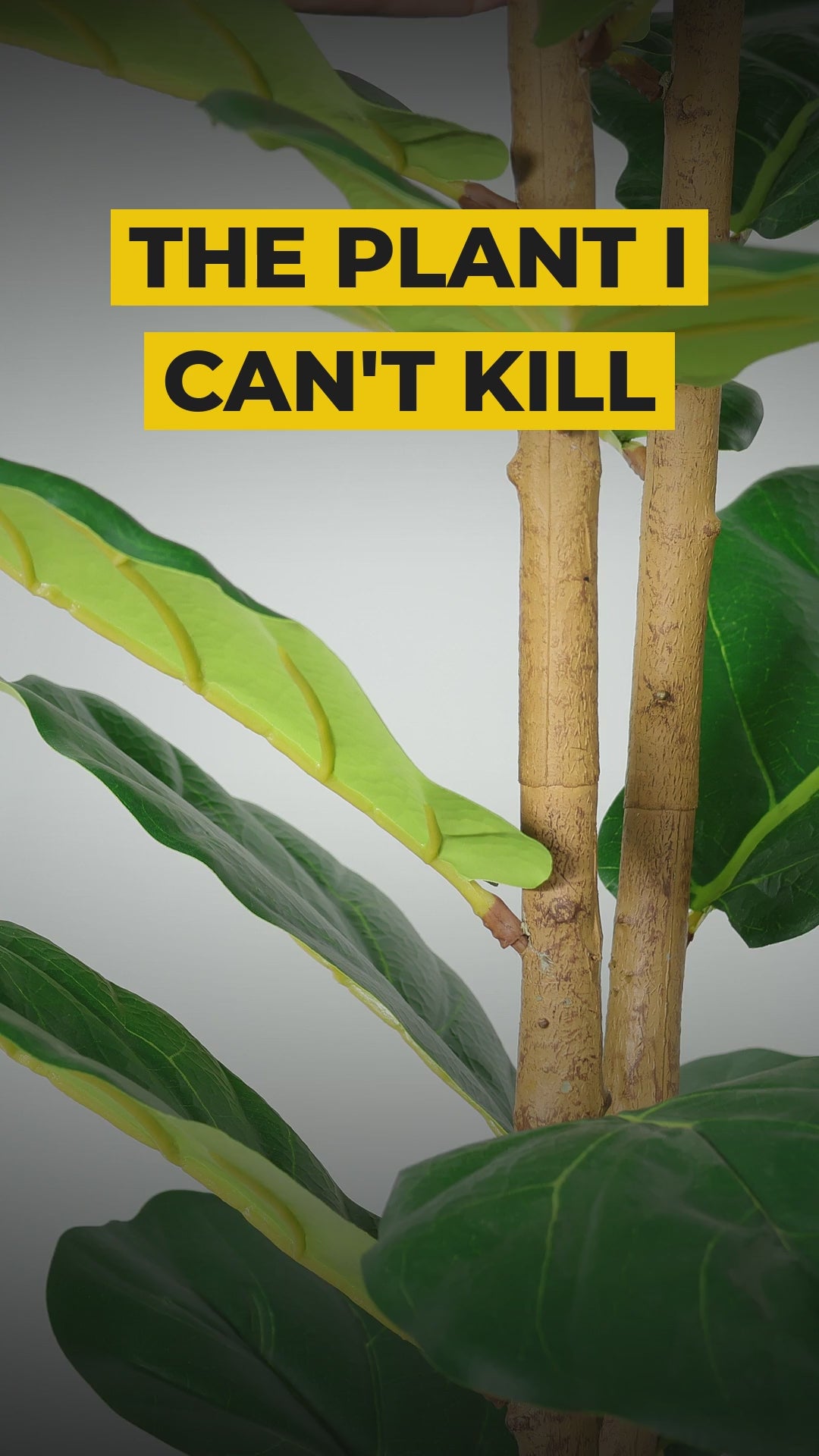 faux fiddle leaf fig tree 5 2 ft white pot video