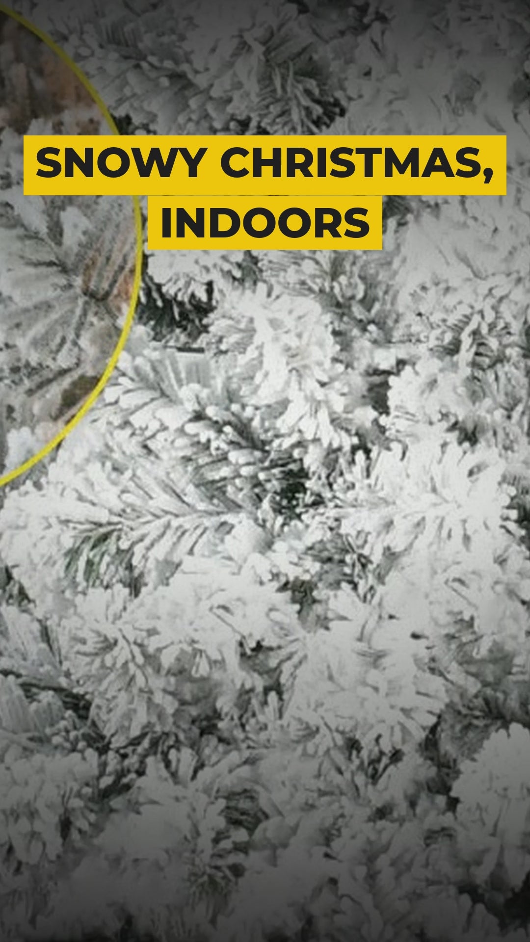 Snow flocked 4 ft Christmas tree video