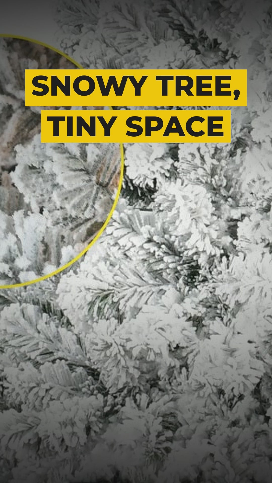 snow flocked christmas tree 4ft video